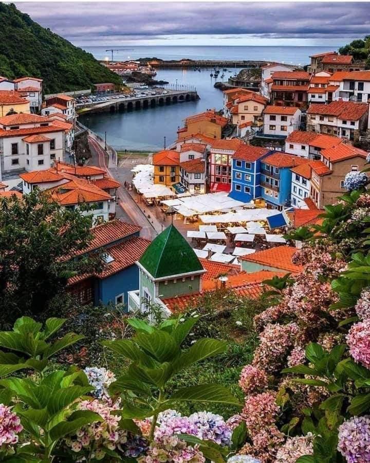 Apartamentos Urbanin I Plaza Ayuntamiento Cudillero Dış mekan fotoğraf